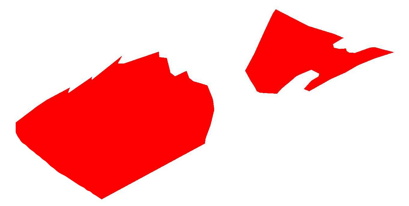 Disegnare gli uccelli - Prima lezione